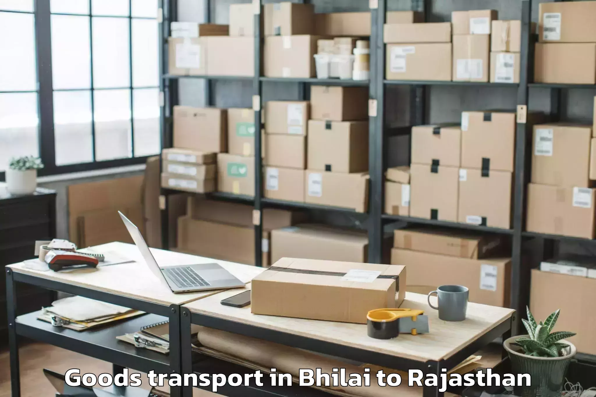 Comprehensive Bhilai to Nimbahera Goods Transport